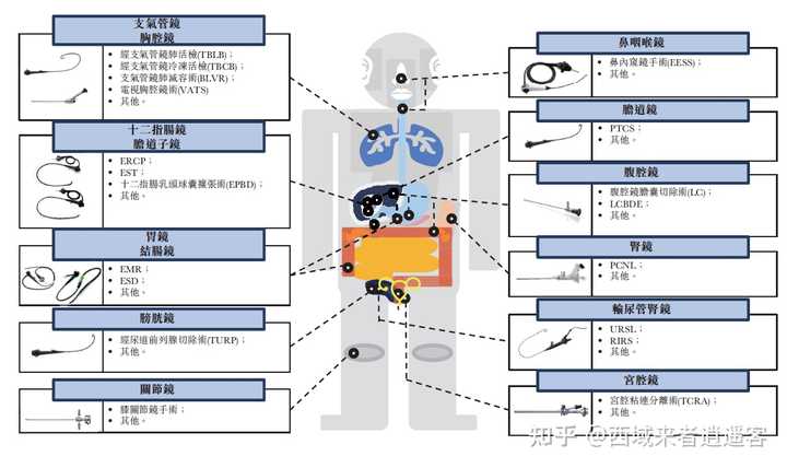 介入现在前景怎么样?哪种介入发展比较好? - 知乎