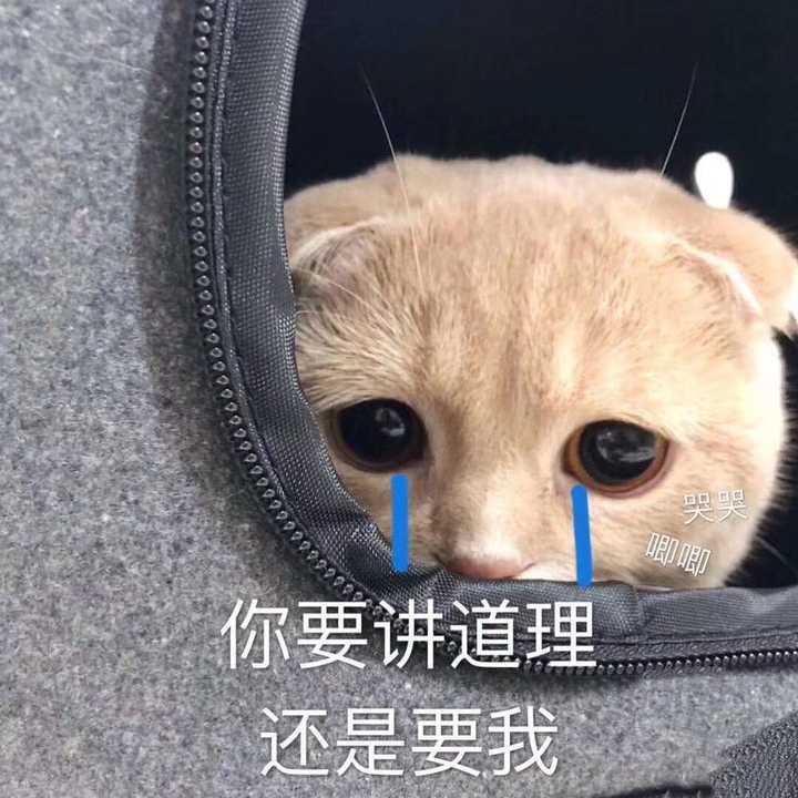 有那些撩男朋友的斗图?
