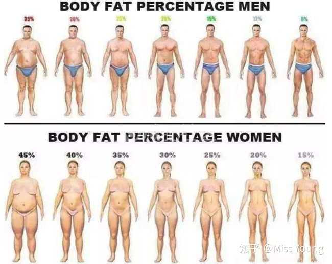 什么方法能够有效降低体脂 知乎