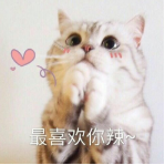 有什么高性价比的台式电脑推荐?
