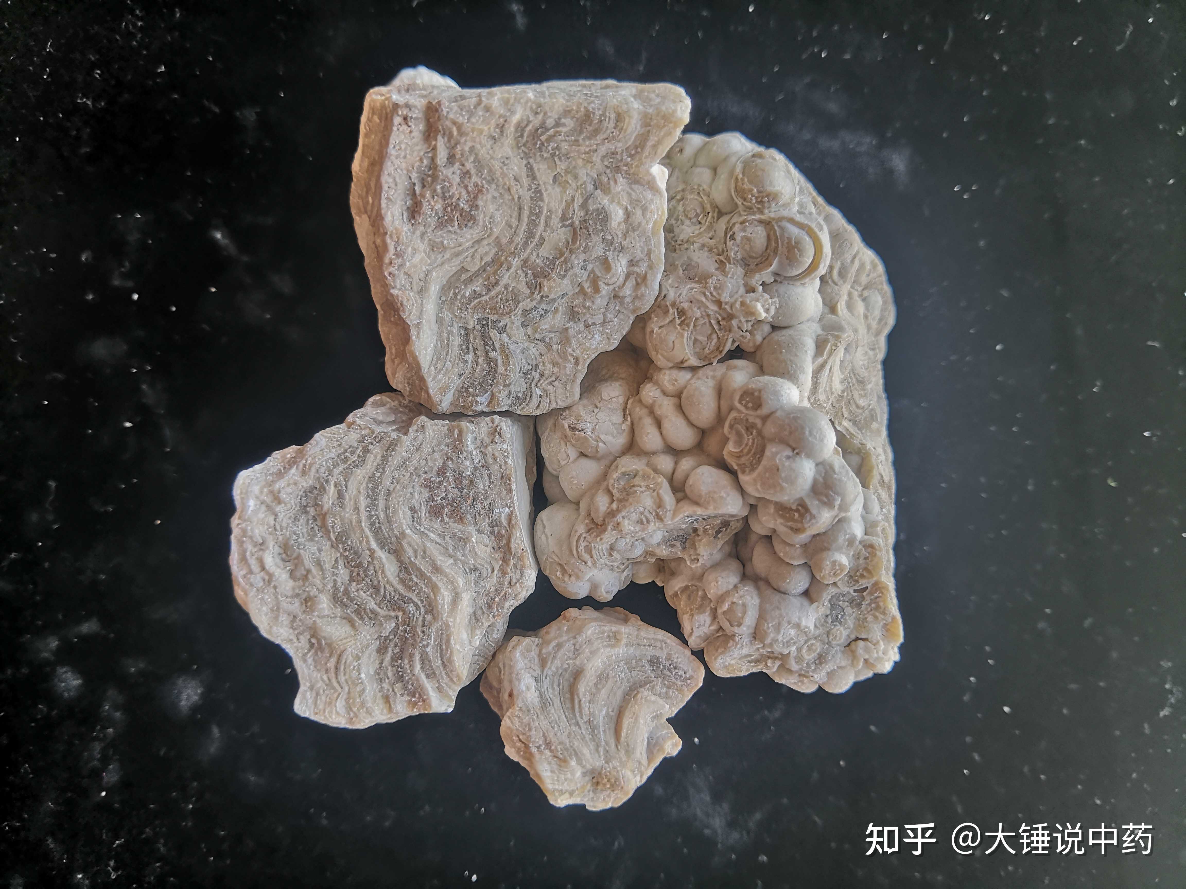 大锤说中药 的想法: 正品钟乳石 - 知乎