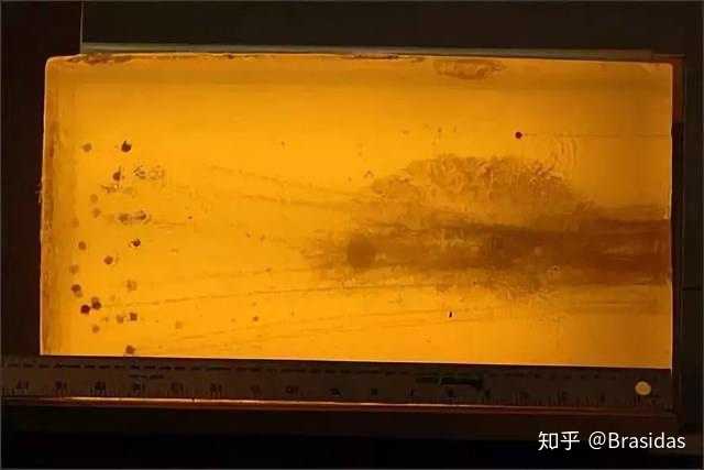 霰弹枪的独头弹的杀伤力究竟怎样,穿甲效果又怎样? - 知乎