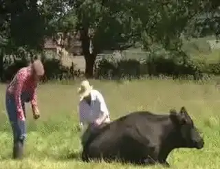 如果我每天有一吨稳定供应的屁，能够发财吗？