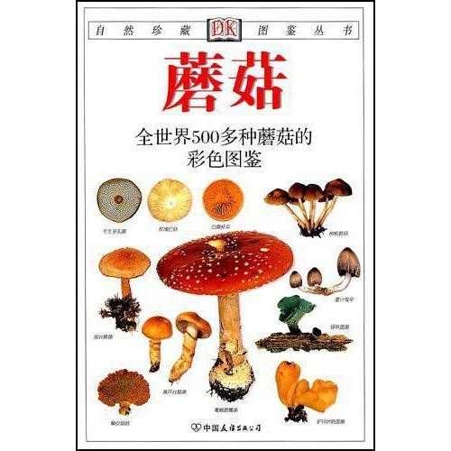 v2-7316778d2b27a01bdcab337b6d876f36_720w.jpg?source=54b3c3a5