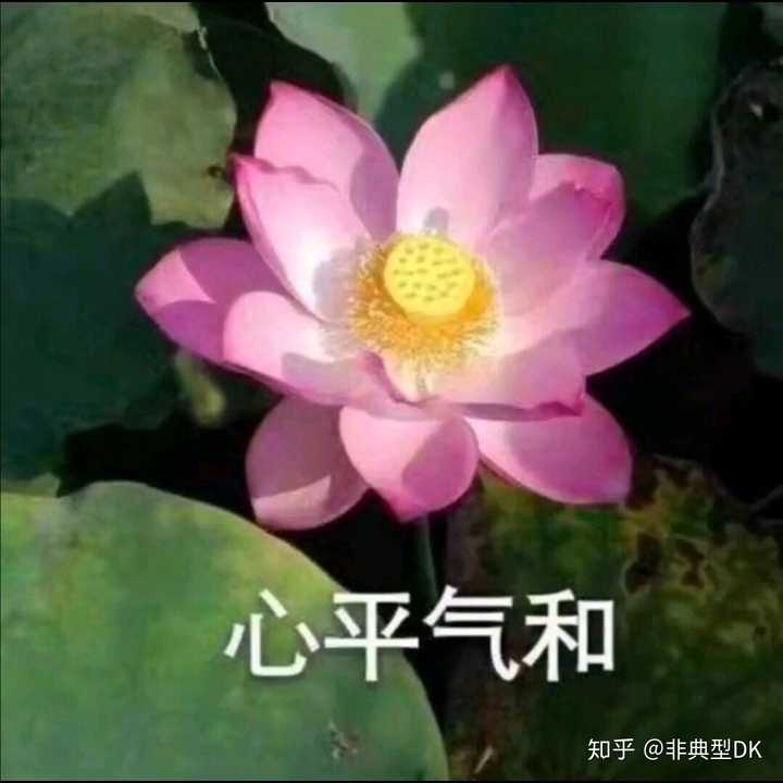 有哪些中老年女性适合的头像 知乎