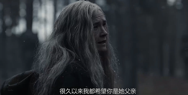 如何评价电视剧《暗黑 第三季》?