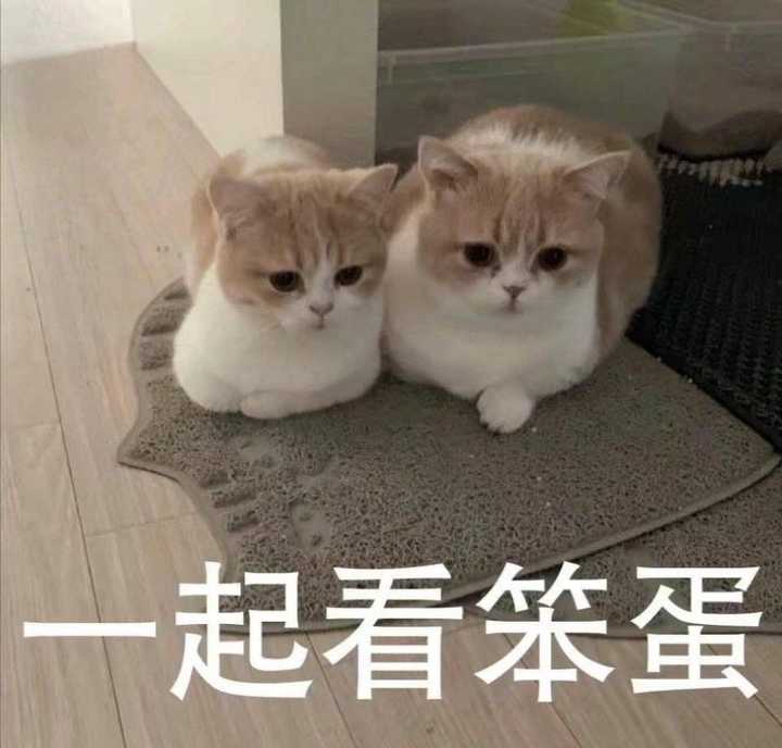 如何评价 琉璃 知乎 如何评价 琉璃 知乎