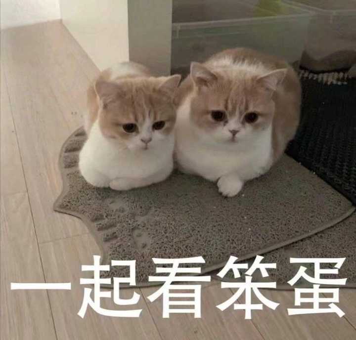 如何评价 琉璃 知乎