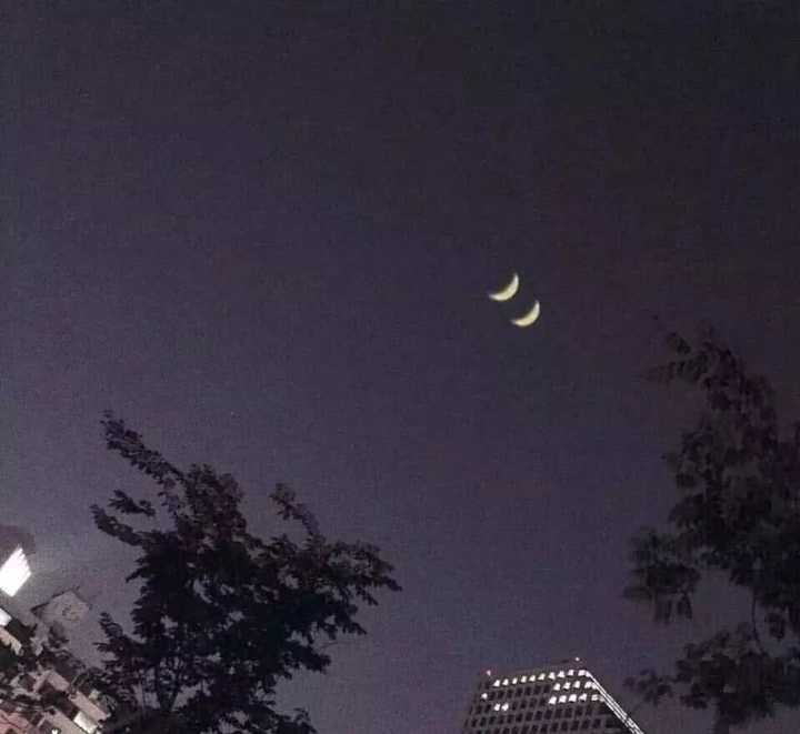 有哪些微甜的情话?