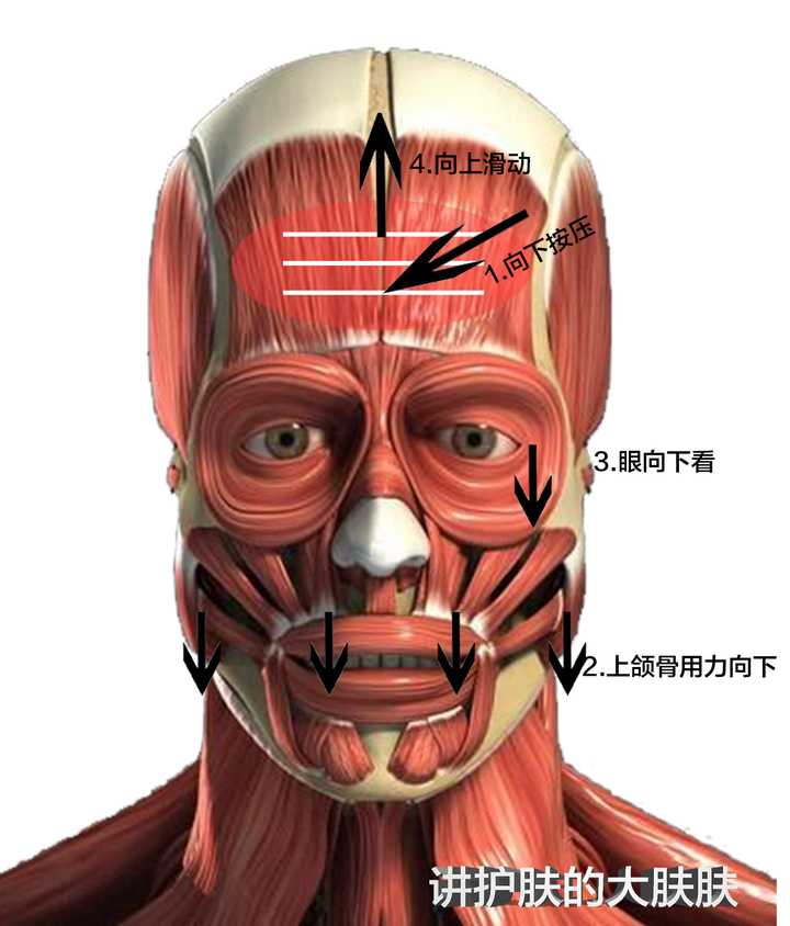 总是习惯性皱眉,额头中间有个竖纹,怎么办呀? - 知乎