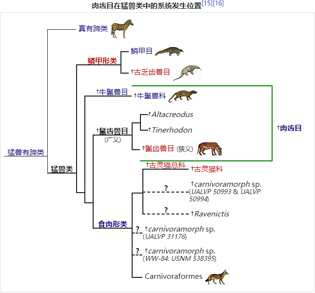 树懒的规范中文名是树懒还是树獭? - 知乎
