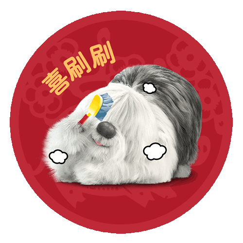 多乐士广告里的那条狗叫什么名字? - 知乎