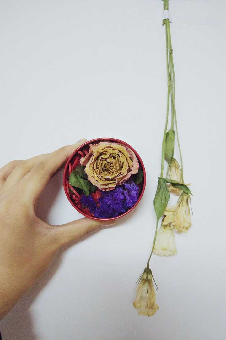 干花如何制作 知乎 干花如何制作 知乎