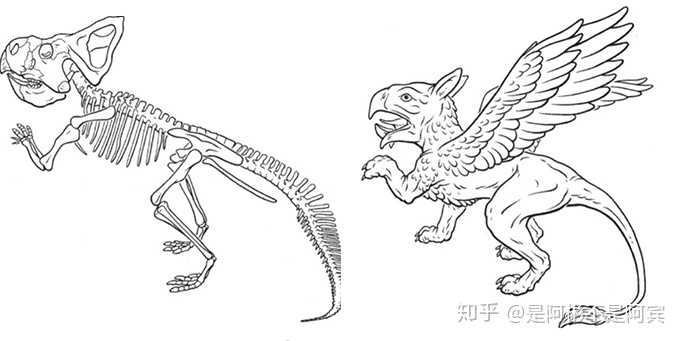 国外艺术家对原角龙和狮鹫的形态对比