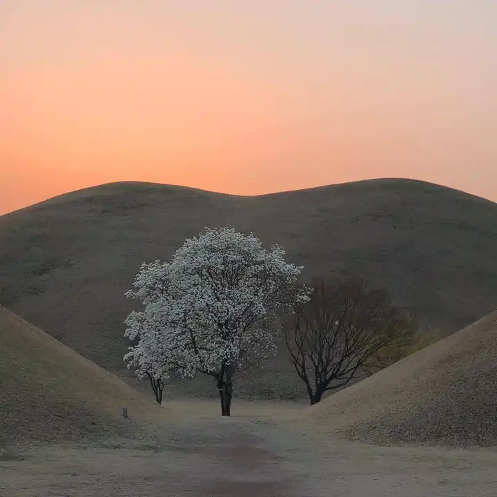 哪里有好看的微信封面背景图呀？