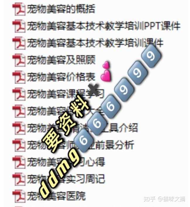 宠物店怎么管理客户的经营