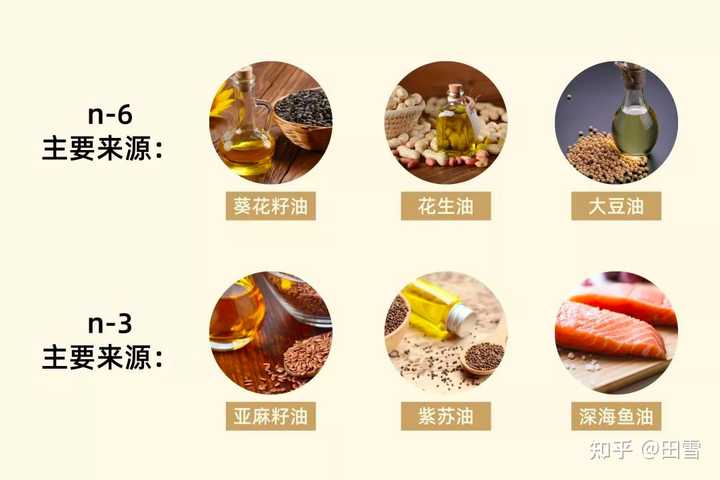 哪种常见食用油最健康 知乎