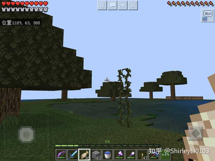 Minecraft 中有哪些有意思的种子 知乎