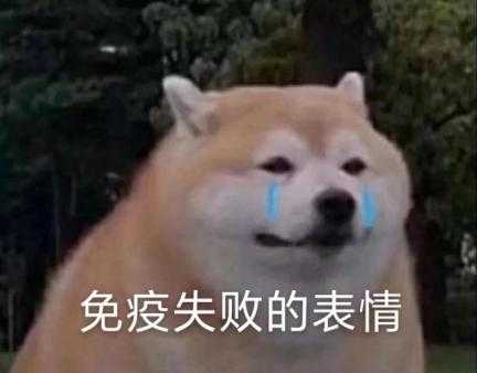 第一次养狗有什么注意事项 知乎