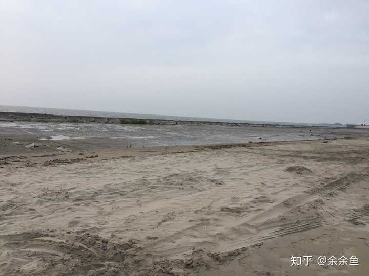 身在天津,想去看海,如何计划?