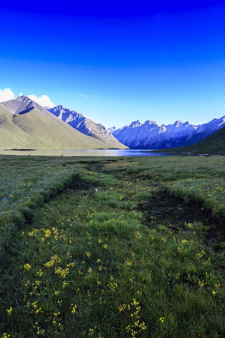 中国第一个国家公园三江源国家公园,有什么特别的动物和地理景色?