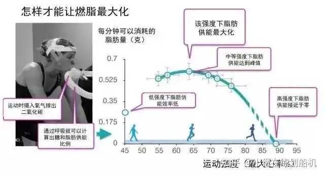 椭圆机半个小时消耗600大卡热量准确吗? - 知乎