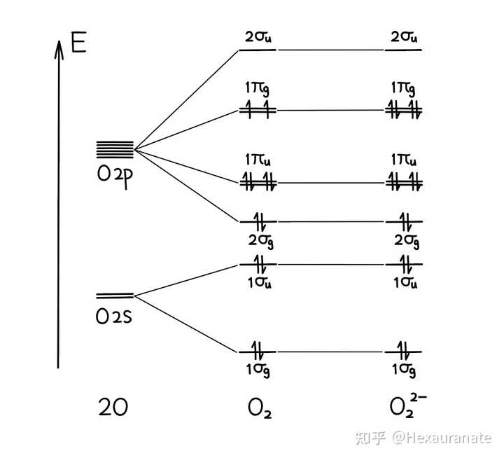 如何根据分子轨道判断O2和O2（2-）的顺反磁性? - 知乎