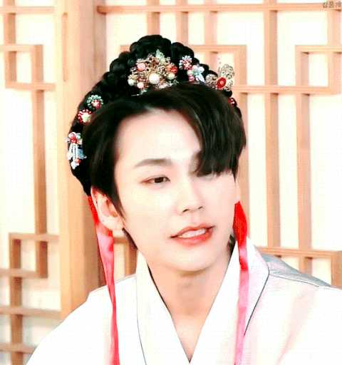 戴上公主头的勋公主nim