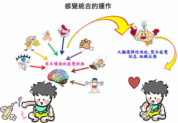 想知道孩子到底是感统失调还是自闭症? - 知乎