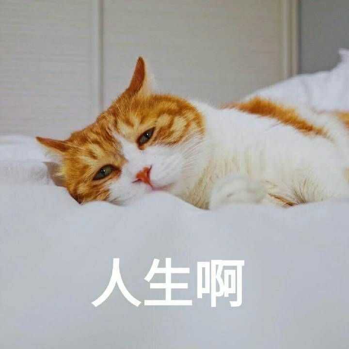 一个人单身了很久真的过的快乐吗 知乎