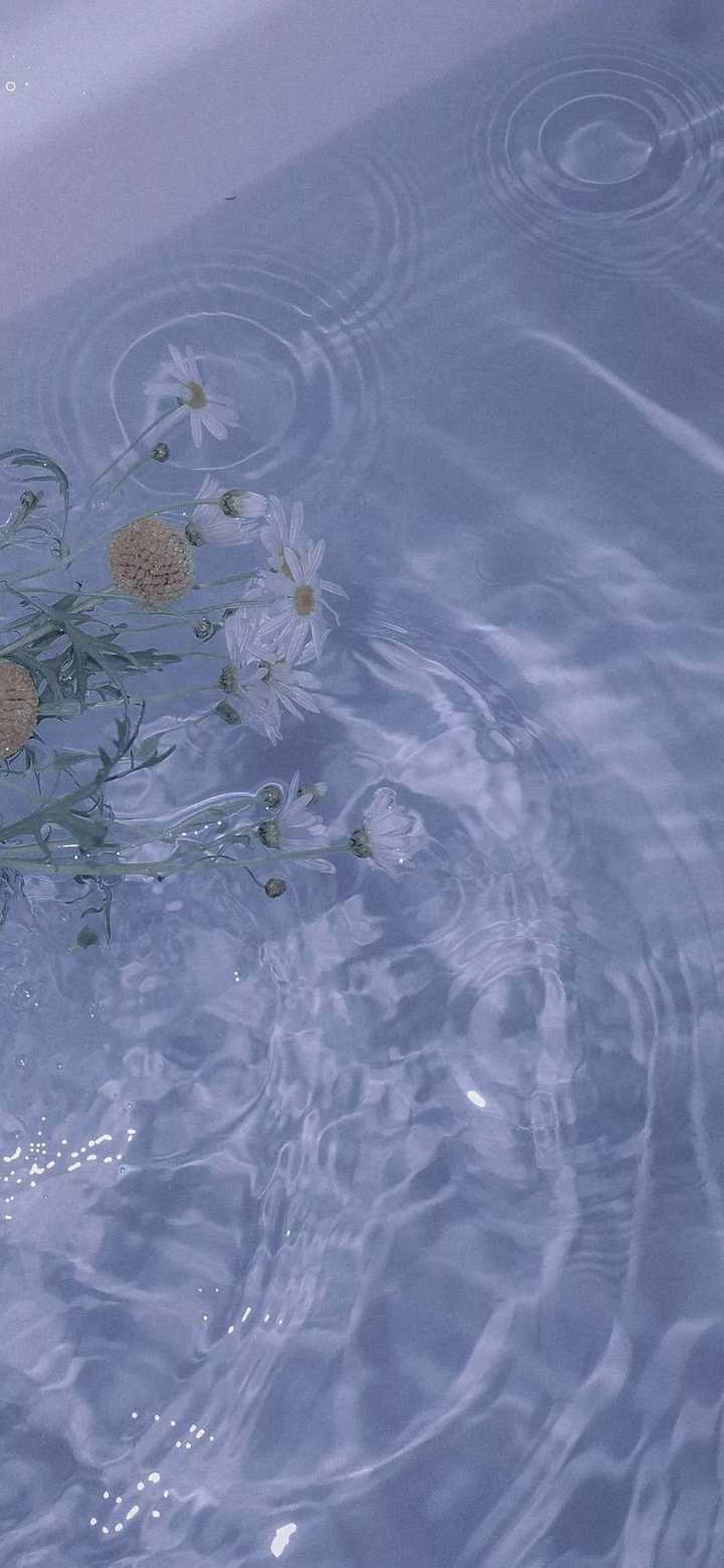 纯白色背景图片大全 纯白色背景图片长方形 空白照片背景图片