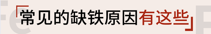 人体缺铁时吃以下哪种食物效果更好