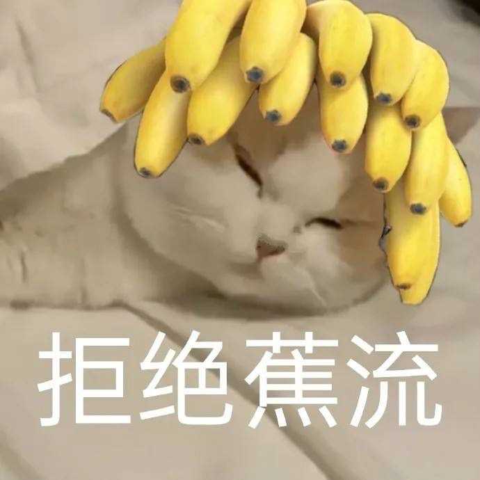 为什么大家都在说intp是猫？ - 知乎
