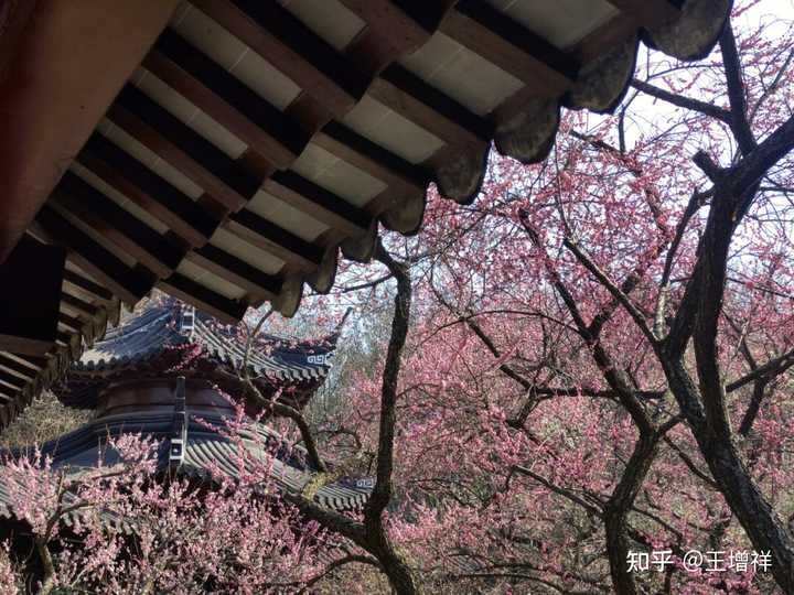 南京雨花台风景区门票，你去过几个？！