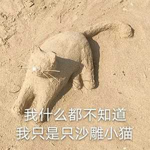 你们用过最沙雕的表情包是什么