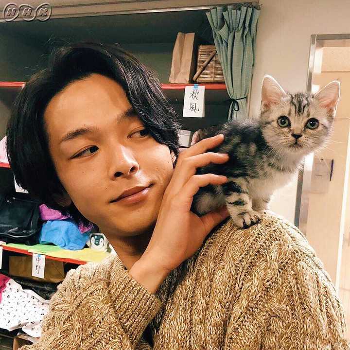 有哪些演员可以演出衣冠禽兽 斯文败类的感觉 Livelee375 的回答 知乎 有哪些演员可以演出衣冠禽兽 斯文败类的感觉 Livelee375 的回答 知乎