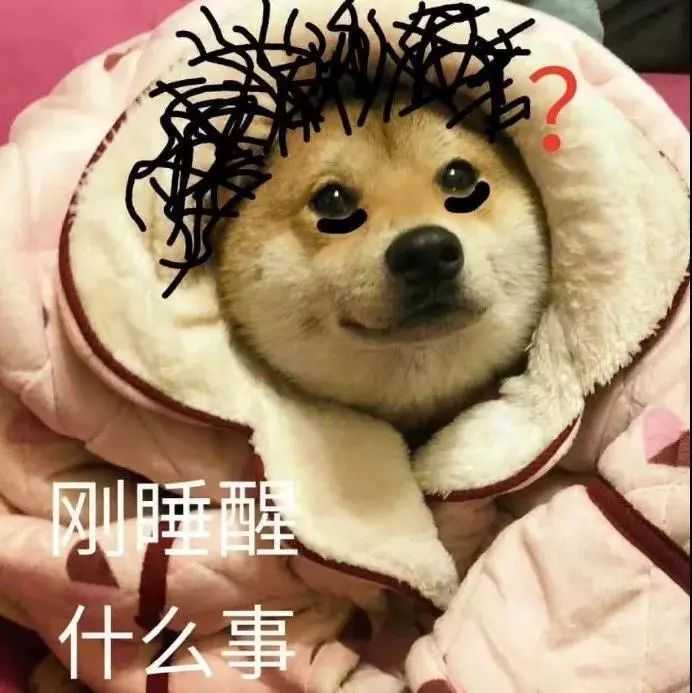 如何證明你是沙雕表情包大戶?