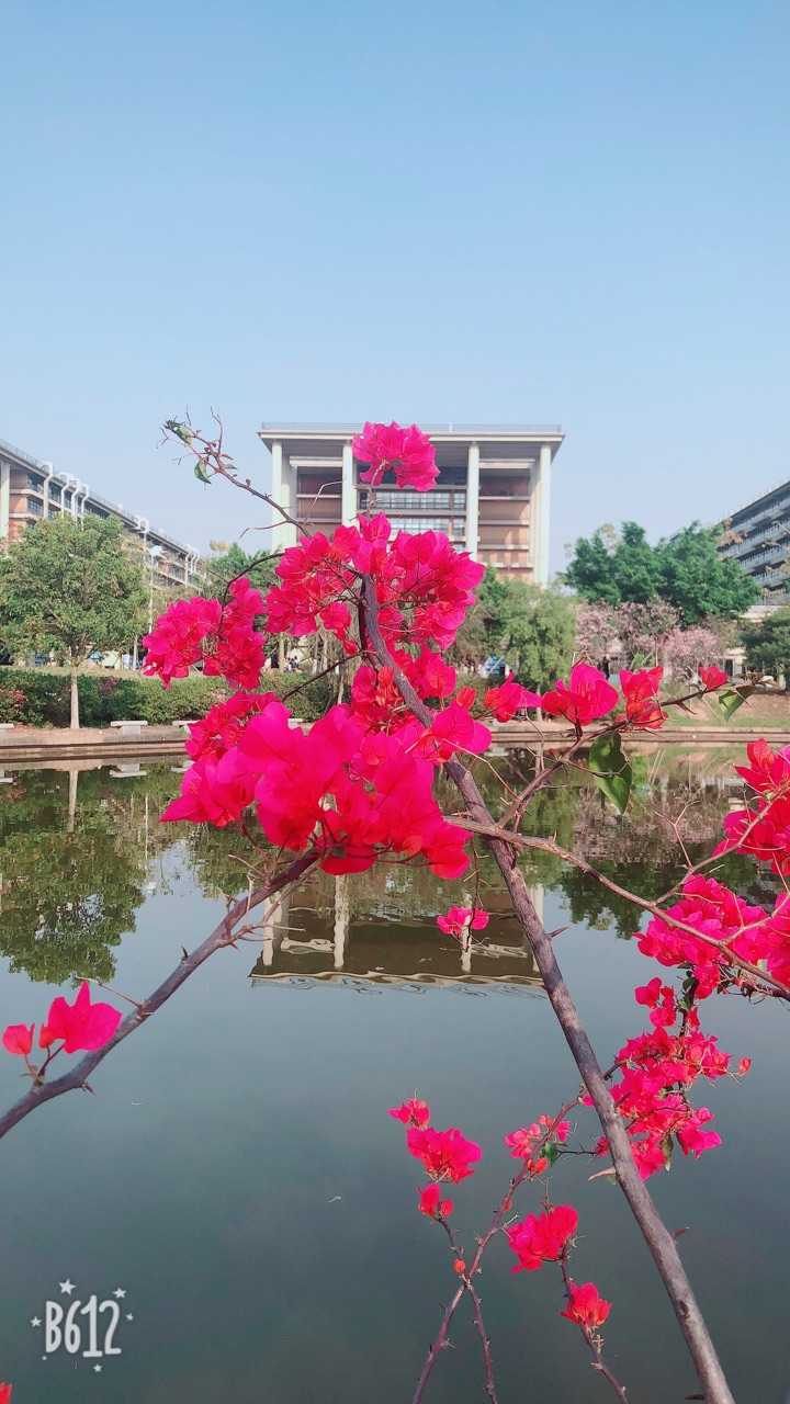 在广东工业大学 (gdut) 就读是一种怎样的体验?