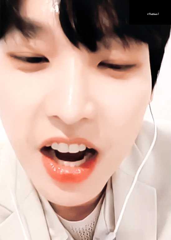 可以安利一下不油腻的wink担吗