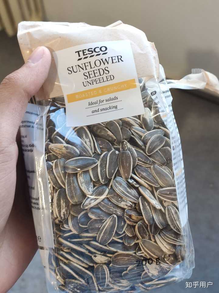 瓜子英文