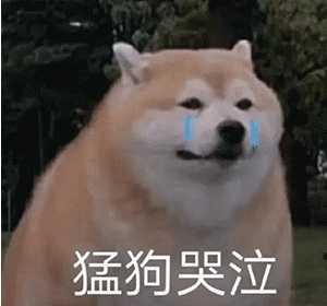 如何以 我养大了九皇子 他却想娶我 为开头写一篇文 知乎