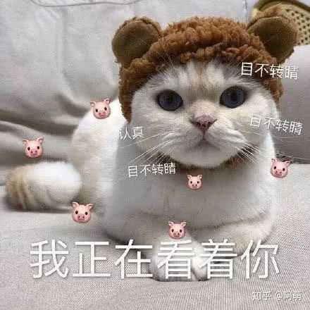 你觉得哪部动画最好看呢 知乎 你觉得哪部动画最好看呢 知乎