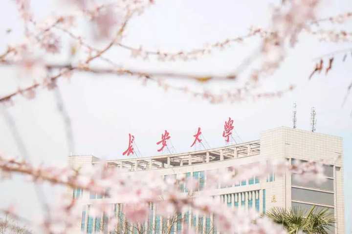 985大学都差不多_985里最差的十所大学_985大学差距