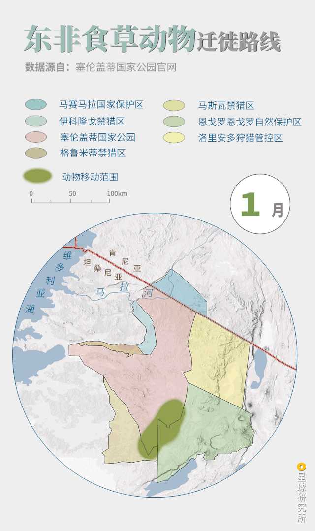 非洲动物大迁徙路线图图片