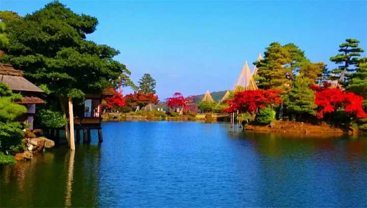 日本有哪些地方看枫叶最好 知乎