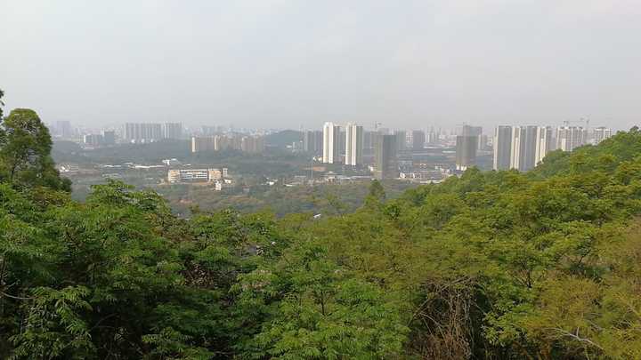 陽江森林公園.