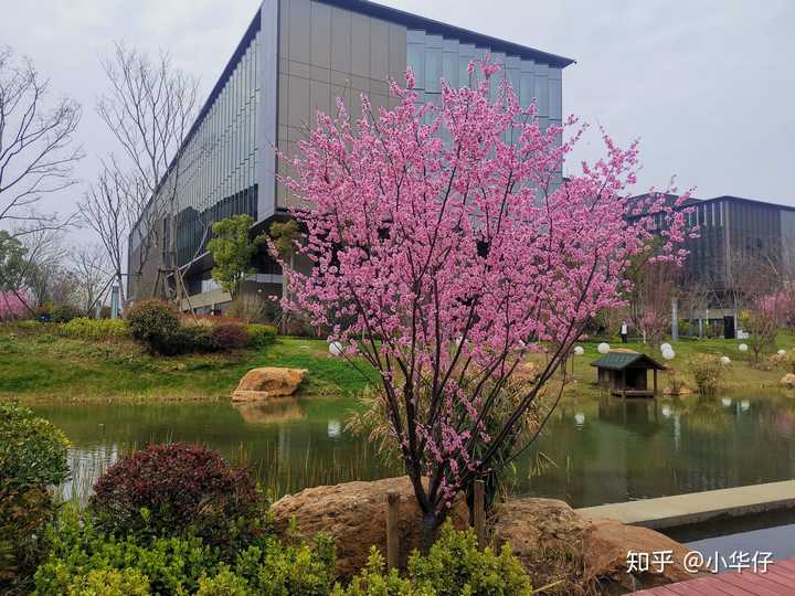 去华为德科的来讲讲经验呗,老哥们,od 沸腾?