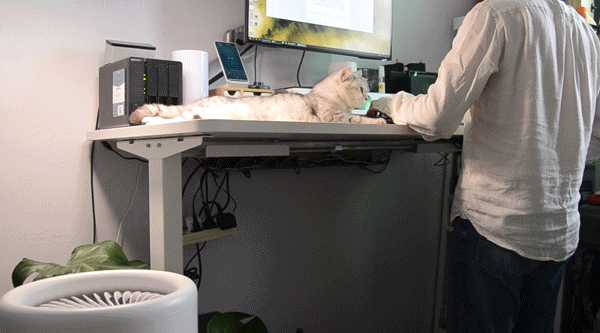 入门级NAS,群晖好还是威联通好?是不是4盘起步?说是2盘终究逃不过升级?预算有限,求推荐!?插图23 入门级NAS,群晖好还是威联通好?是不是4盘起步?说是2盘终究逃不过升级?预算有限,求推荐!?插图23