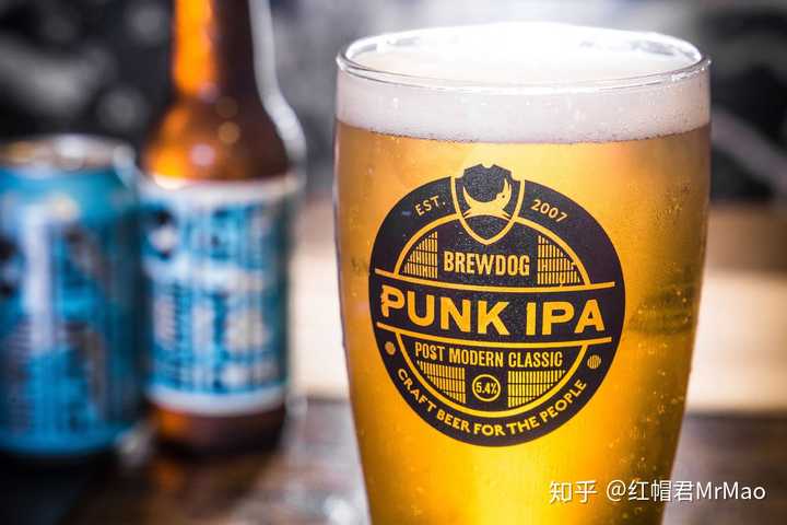 酿酒狗(brew dog punk ipa