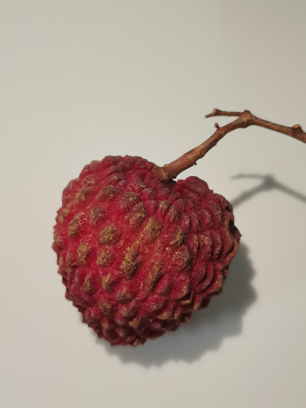 有人说透明的荔枝是「活荔枝」，奶白色的是「死荔枝」，为什么会有这种差异？在口感上区别大吗？